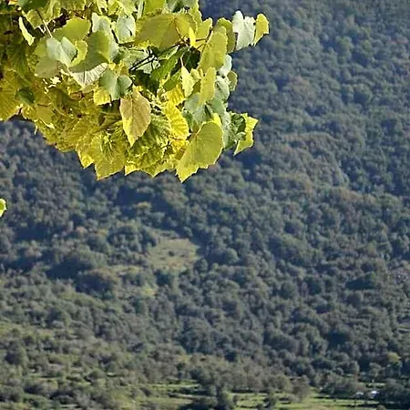 La Casa Vecchia 3* Gallo (Caserta)