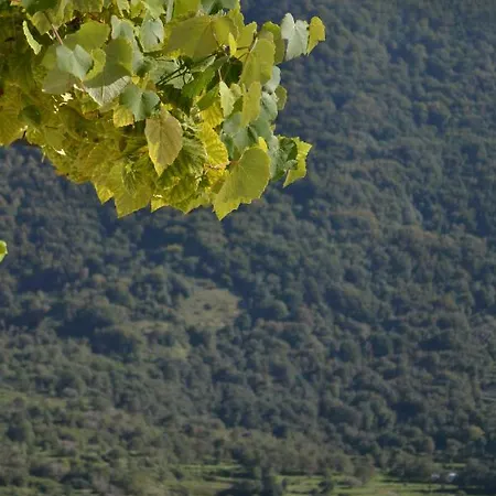 住宿加早餐酒店 La Casa Vecchia
